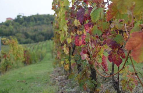 Le Magnolie - Foto 38