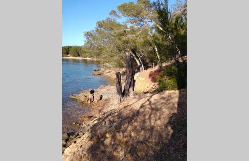 FACE MER ENTRE PLAGE ET MARINA - Foto 33