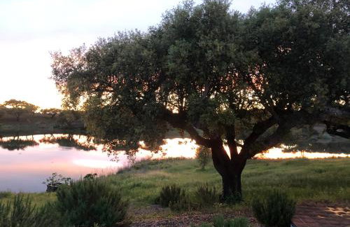 Fontes - A essência do Alentejo com lago privado - Foto 21