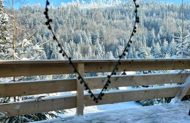 Chata w Szczyrku sauna & balia - Foto 10