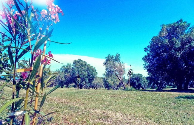 Agriturismo San Matteo - Foto 27