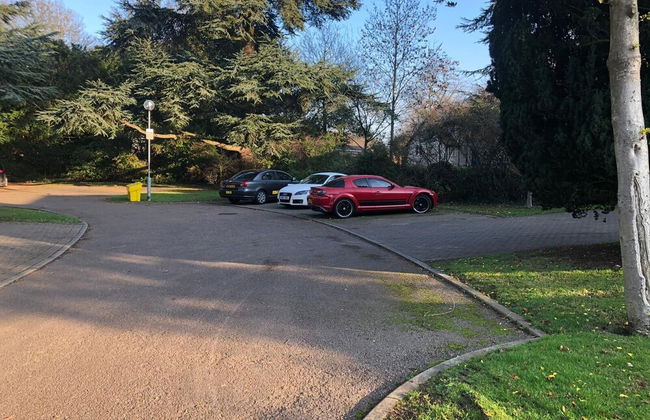 The Cedars - Foto 21