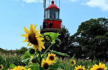 Ferienwohnung Bad Doberan - Foto 36