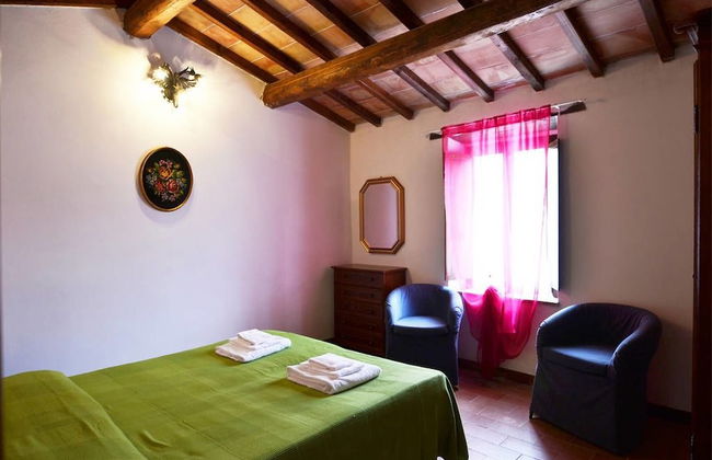 Bellavista farm of Quercini Maurizio - Foto 7