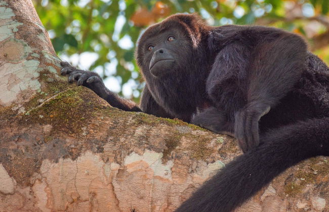 Trekking nella Selva Lacandona - Foto 5