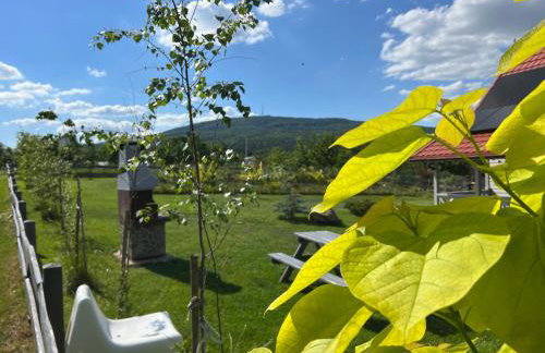 Bliżej Ślęży Domki pod Ślężą - Photo 15