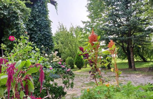 Agroturystyka Pod Dębem - Foto 4