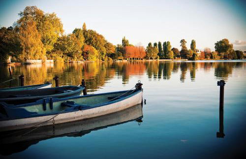 Promotion du Jour - Le Figuier - Foto 21