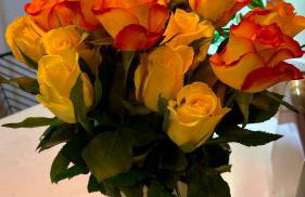 Durham City Centre Hideaway - Terrace with View & Parking - Photo 68