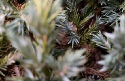 Le Mas d'Angèle - Foto 40