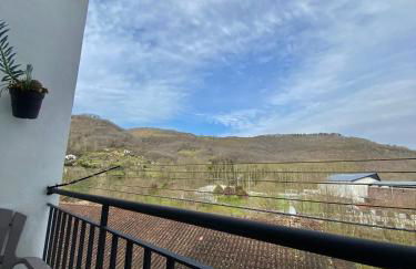 Apartamento Elizondo Giltxaurdi - Foto 55