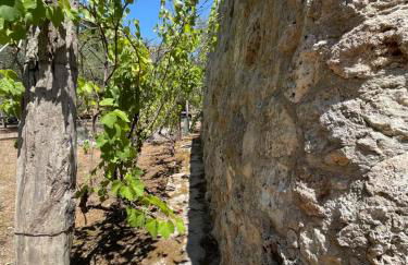 Agriturismo Salento Pietralata - Foto 13