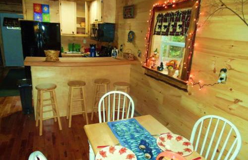 Rustic Woodland Cabin Rental near Oneida Lake, New York - Foto 42