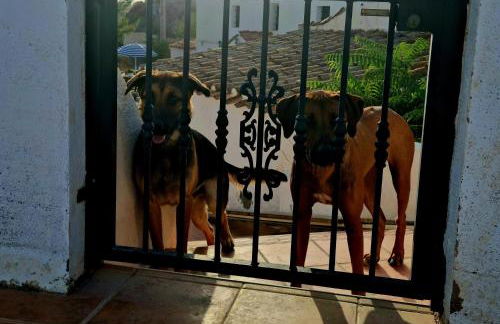 Cortijo naturista con vistas-clothing optional - Foto 10