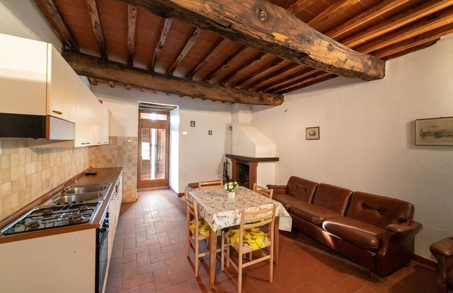 Fattoria di Cintoia - Photo 20