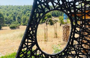 Το σπίτι στο δάσος - Foto 8