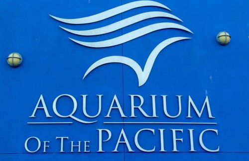 BonVoyage-Sleep&Sail Overnight Stays-Sleeps 6-8 - Foto 32