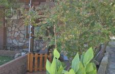 Villa Dimitrios(2 independent apartments 200sq m) - Foto 29