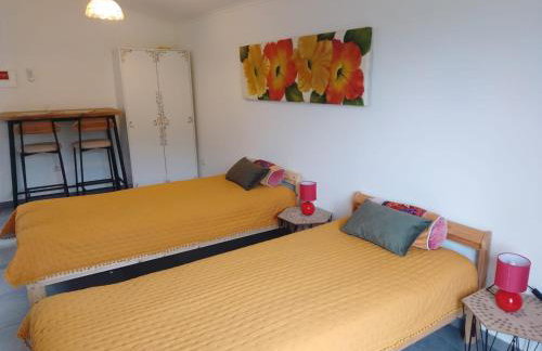 Nova Aurora - Foto 22