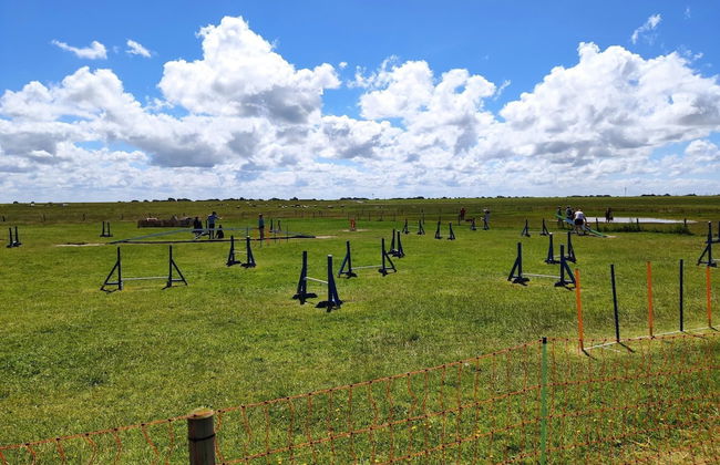 Ferienwohnung in Nesse - Foto 27