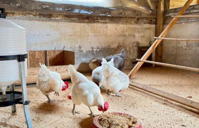 Agriturismo La Vecchia Chioderia - Foto 7