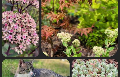 Gartenblick Kottenheim - Gemütliche 95qm mit eigenem Garten - Photo 9