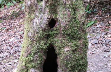 Nähe Nationalpark - Foto 13