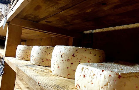 Agriturismo Chevres a Cheval - Foto 66