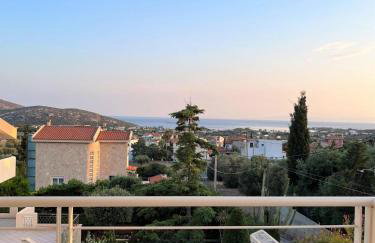 Summer Villa Lagonissi - Foto 41