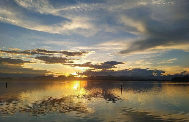 Ibirawave - Photo 58