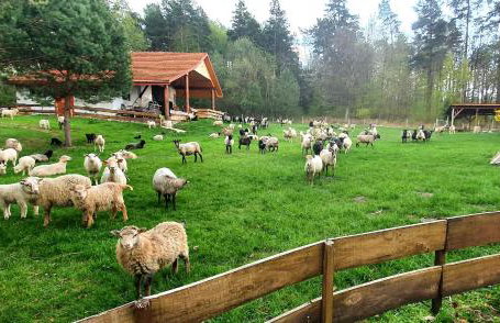 Agroturystyka Stara Huta - Foto 1