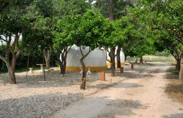 Páteo das Laranjeiras - Foto 37