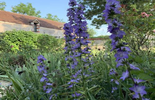 Le Petit Manoir De La Noue - Foto 26