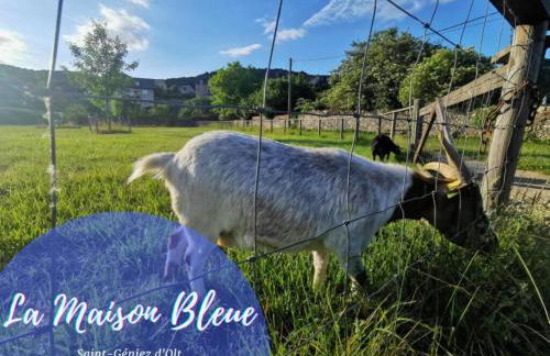 La Maison Bleue, village vacances, piscine, parking - Photo 49