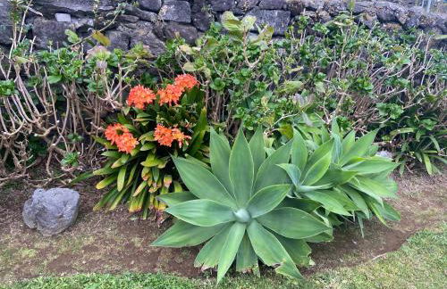 Maria's Haven - Foto 10