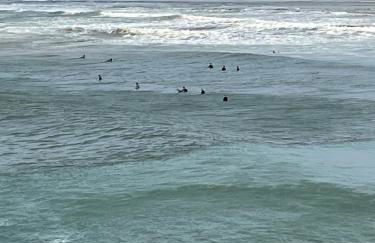 Guarda Flats - Photo 16