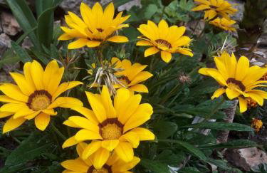 Anna's country villa - Foto 61