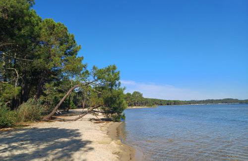 Magnifique villa avec piscine - Foto 55