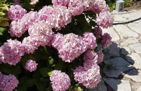 Holiday Home Subasic - Photo 11