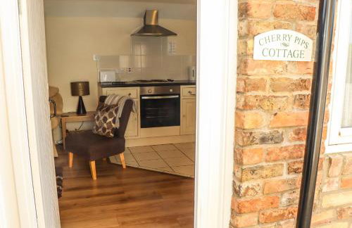 Cherry Pips - Photo 4