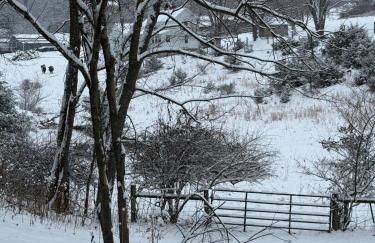Winding Creek Cabin - Photo 21
