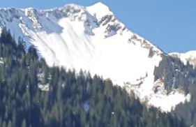 Le Chardon Bleu - Foto 9