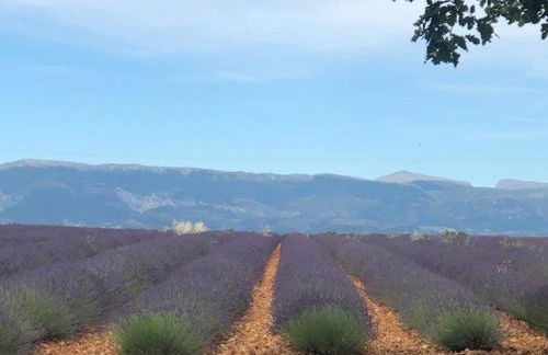 Le petit Saint Clair - Foto 16