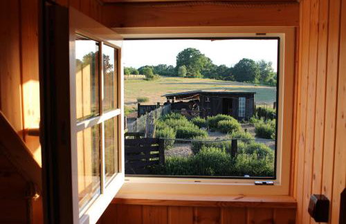 Ranczo Annabella - Foto 39