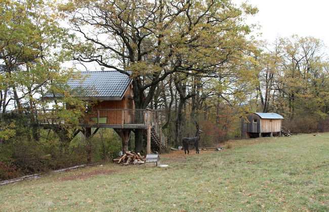 Les Insolites du Vercors - Foto 48