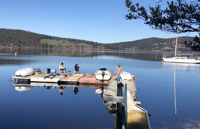 Free Spirit Pods - Foto 9