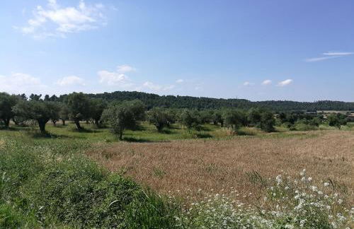 El Paller de Can Puig a la Pera 4/6 pax - Foto 48