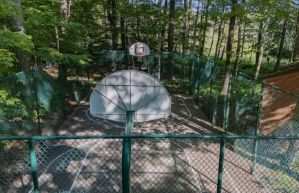 The Rushes - Foto 51