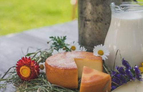 Appartments Neuhof - Photo 8