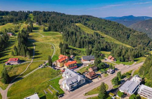 Auerhahn Feldberg - Foto 68